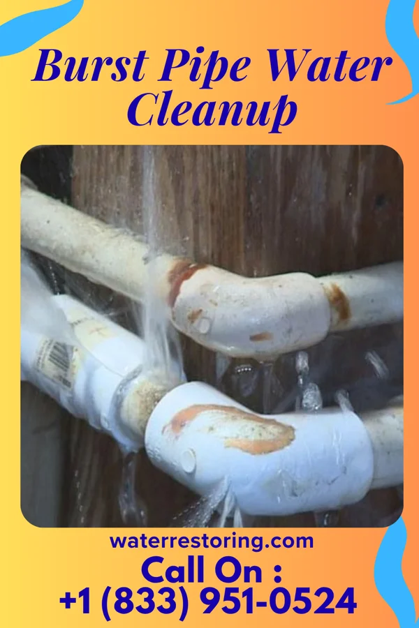Burst Pipe Water Cleanup in Big Creek, MS